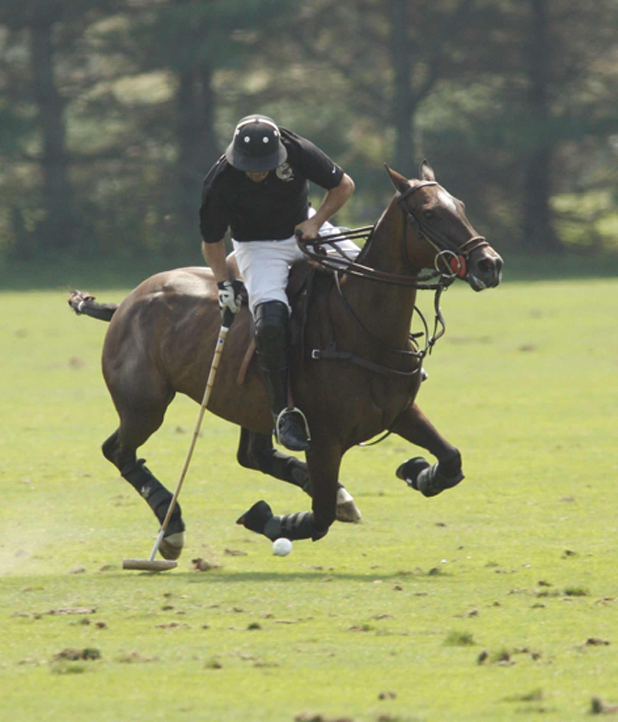 Hampton Cup Final Photos