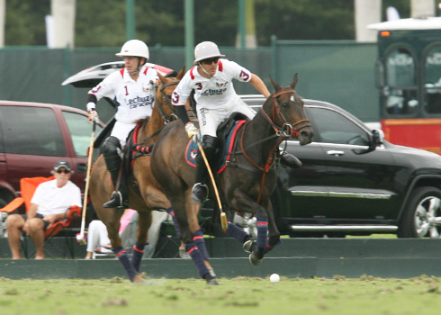 Photos-Audi vs Lechuza