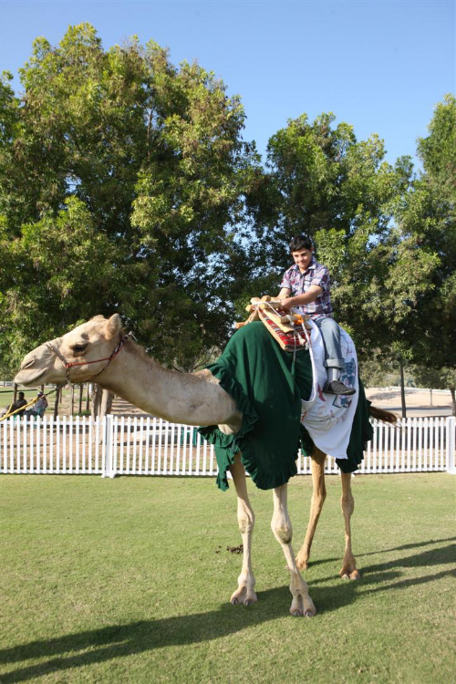 ghantootfamilyday polo the polo magazine dubai polo 19