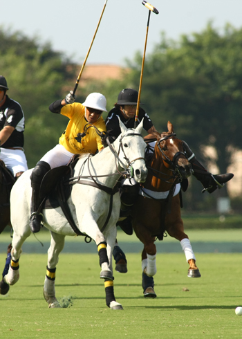 polo photos alex pacheco haas cup finals polo magazine 6