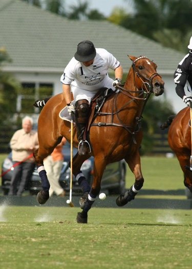 Polo tournament polo usa polo top polo match mt brilliant zacaravs 1