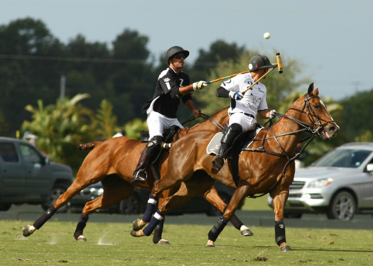 Polo tournament polo usa polo top polo match mt brilliant zacaravs 3