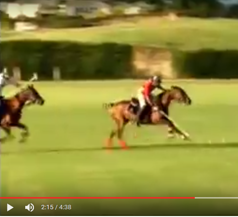 Apes Hill Polo Club Barbados