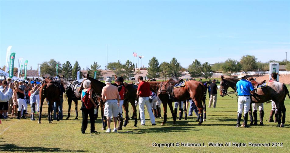 POLO Magazine Rebecca Welter 1-IMG 0720