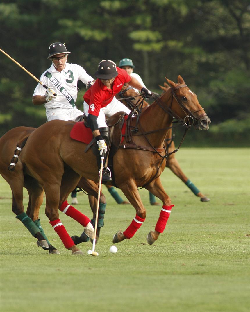 Hampton Cup coverage