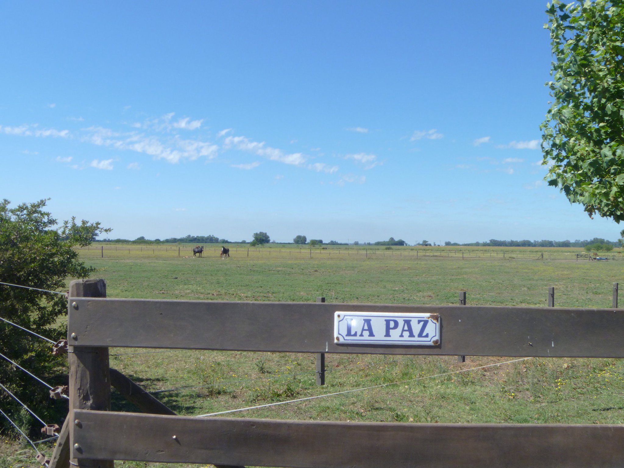 La Paz Polo Property For Sale