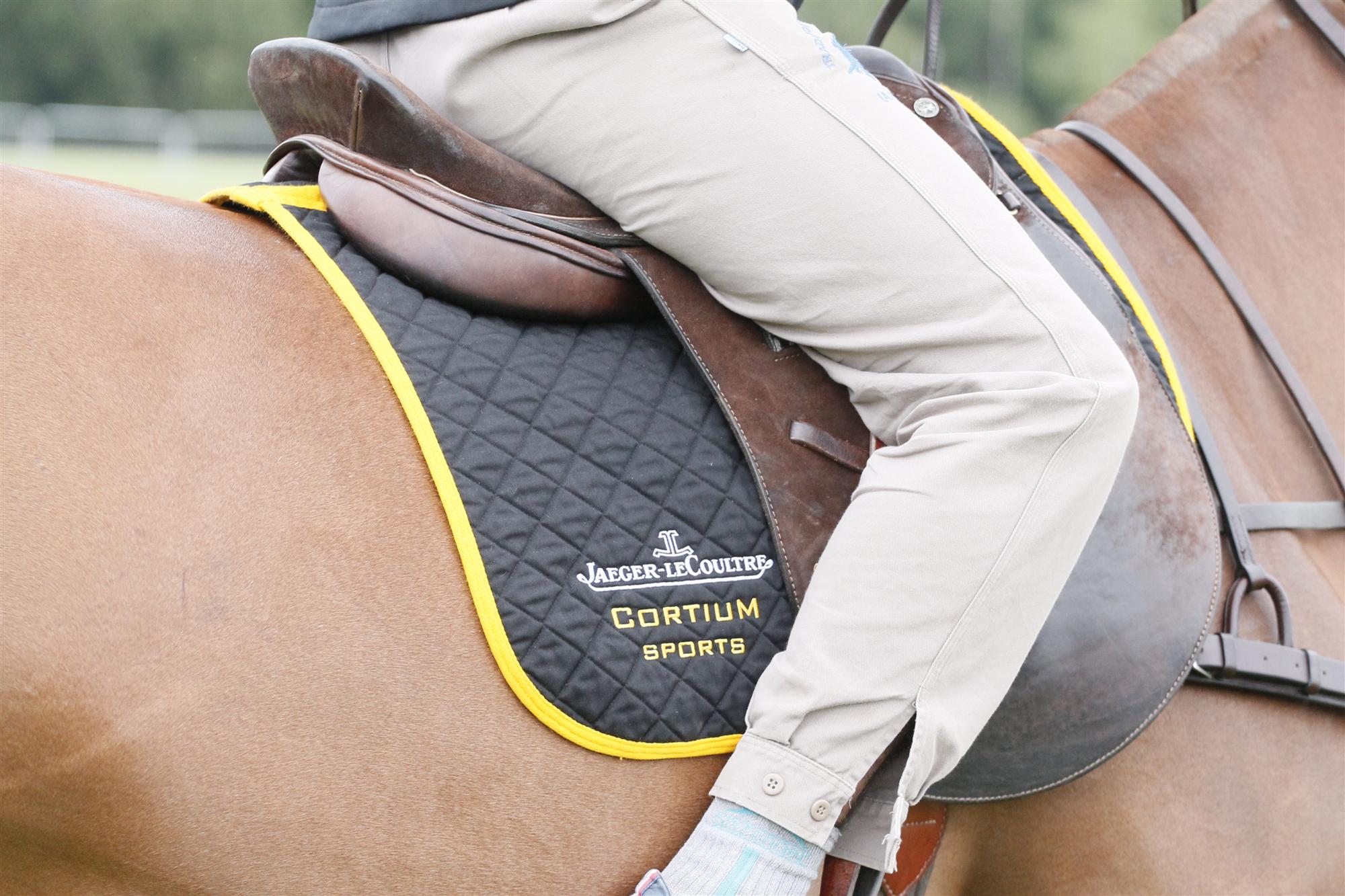 cortium polo team queens cup polo magazine celine genonceau polo club photos tournament 13