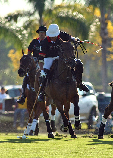 zorzal poloteam erg polo team us  open polo championships polo magazine alex pacheco 2